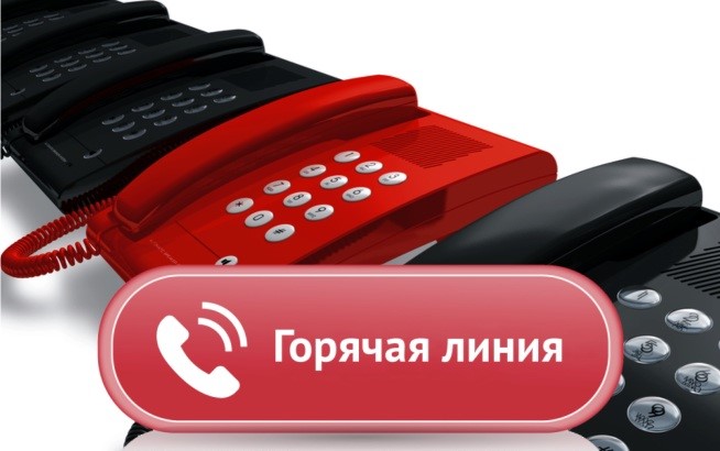 “Горячие” номера Управления образования